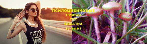 герыч Гусев
