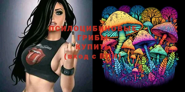 jwh Гусь-Хрустальный