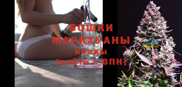 jwh Гусь-Хрустальный