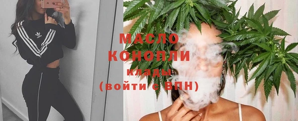 jwh Гусь-Хрустальный